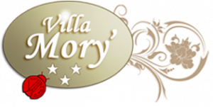 logo villamory